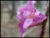 /album/natur-und-landschaft-2013-teil-1/img-20130406-150120-1-jpg/