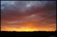 /album/natur-und-landschaft-2012-teil-2/dsc02068-1-jpg/
