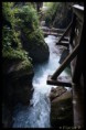 /album/natur-und-landschaft-2012-teil-2/dsc05137-1-jpg/