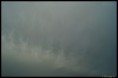 /album/wetter-2012-teil-2/dsc03639-1-jpg/