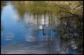 /album/natur-und-landschaft-2012-teil-1/dsc00197-1-jpg/