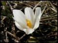 /album/natur-und-landschaft-2012-teil-1/sany0046-1-jpg/