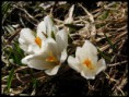 /album/natur-und-landschaft-2012-teil-1/sany0049-1-jpg/